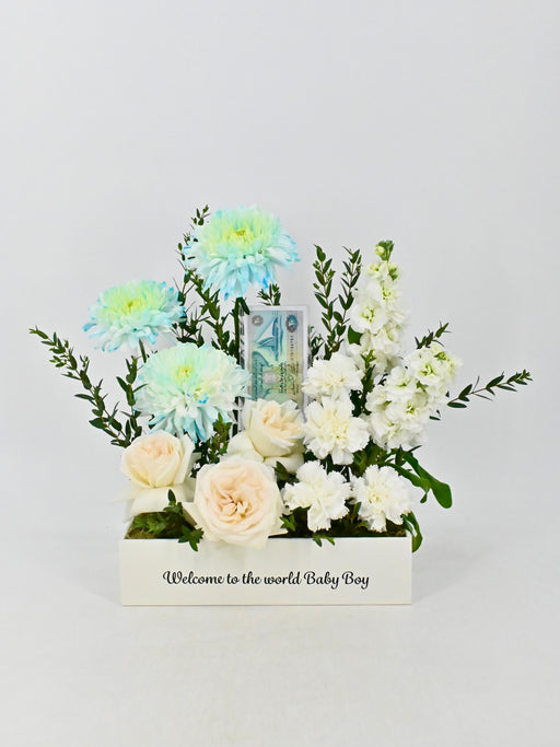 Snowy Blue Baby Money Arrangement