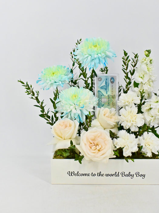 Snowy Blue Baby Money Arrangement