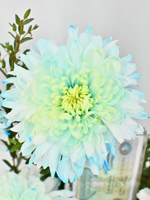 Snowy Blue Baby Money Arrangement