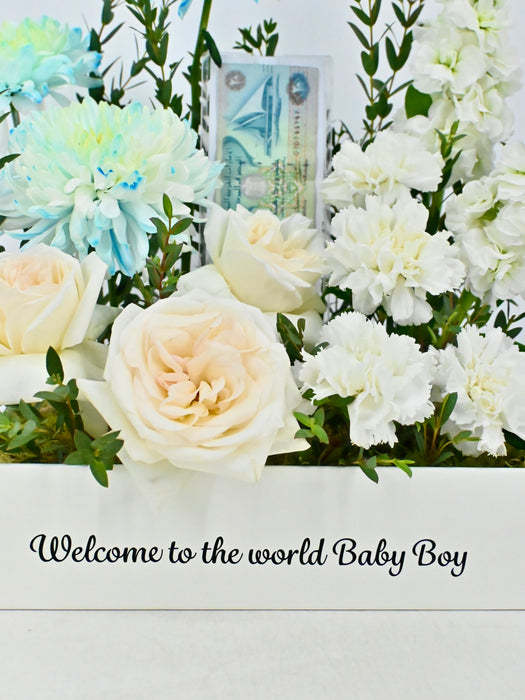 Snowy Blue Baby Money Arrangement