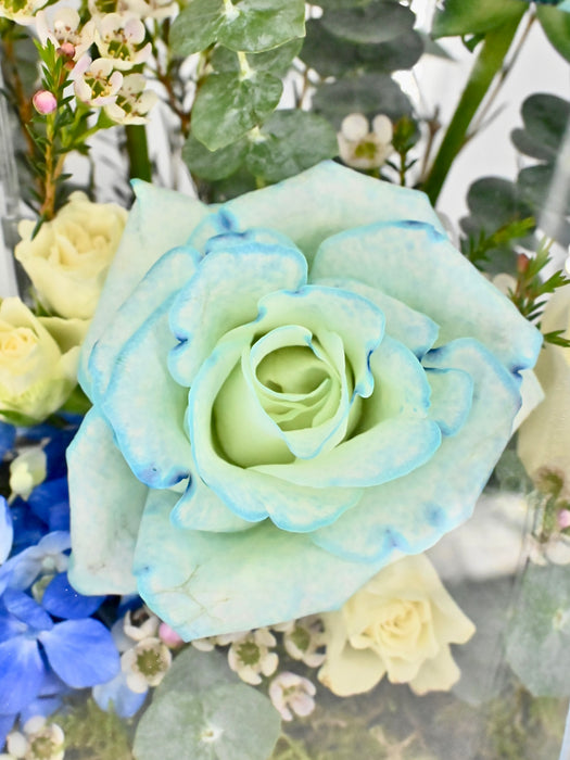 White & Blue Money Box Arrangement