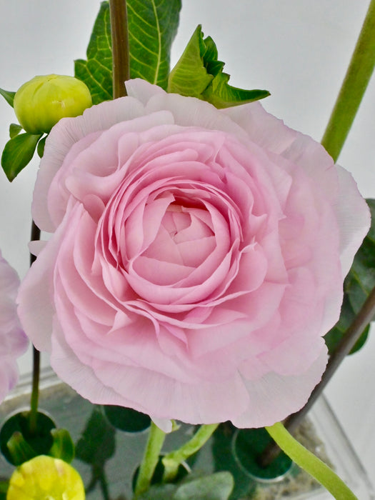 Pretty in Pink Garden Centerpiece